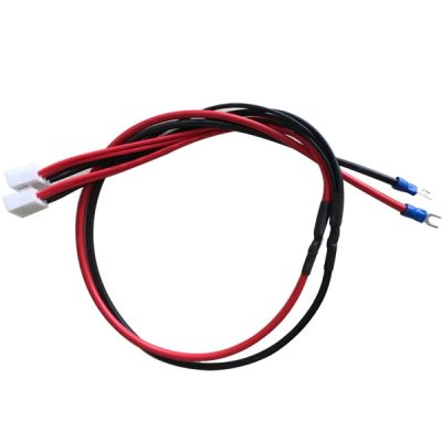 Power cable inside screen